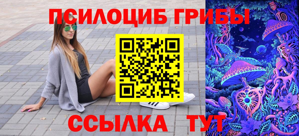 Тосно  Псилоцибиновые грибы MAGIC MUSHROOMS  Галлюциногенные грибы мухоморы  Вход с VPN 